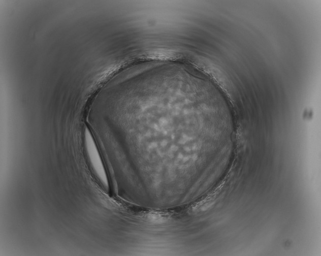 X0000097290305200802291757
