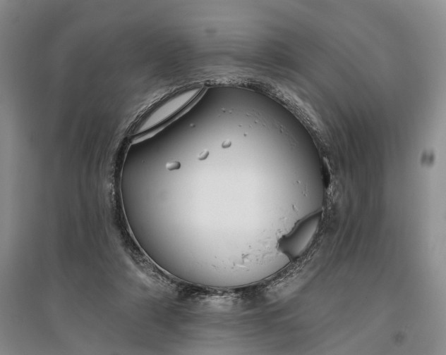 X0000097290306200802291757