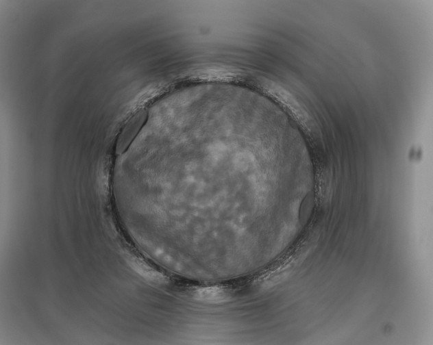 X0000097290309200802291757