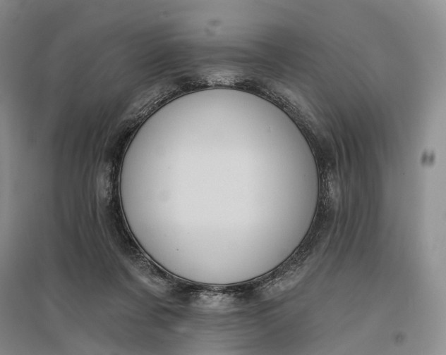 X0000097290311200802291757