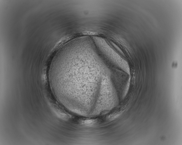 X0000097290312200802291757