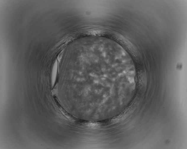 X0000097290313200802291757
