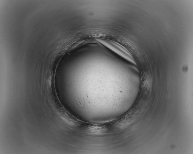 X0000097290315200802291757