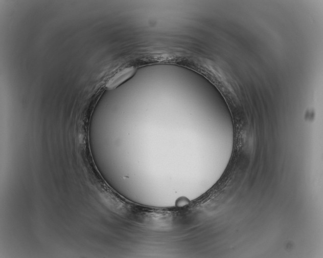 X0000097290317200802291757