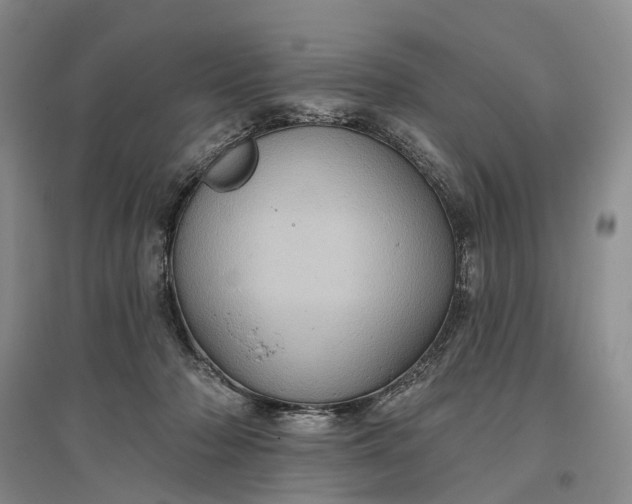 X0000097290318200802291757