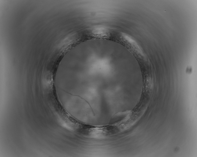 X0000097290320200802291757