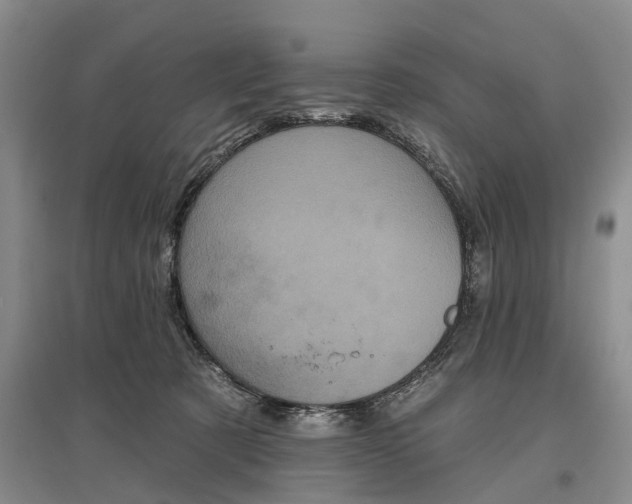 X0000097290321200802291757