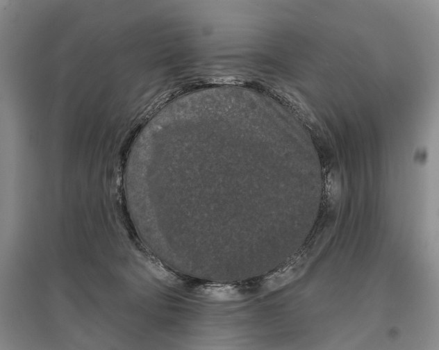 X0000097290322200802291757