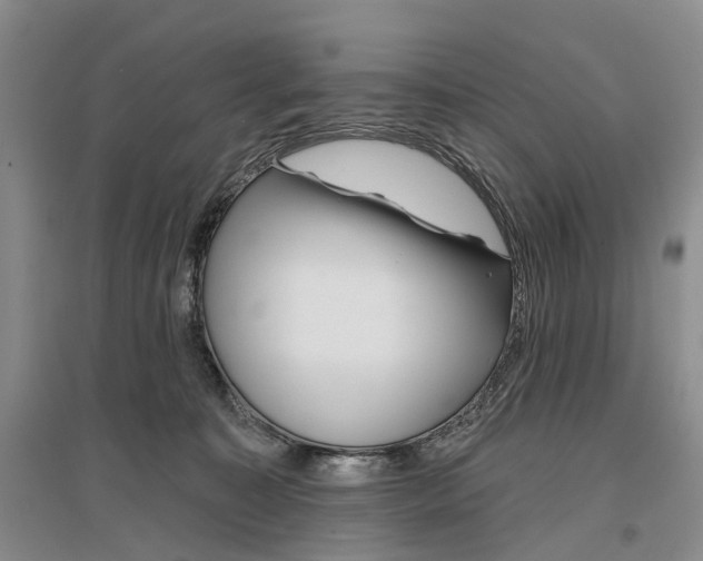 X0000097290323200802291757