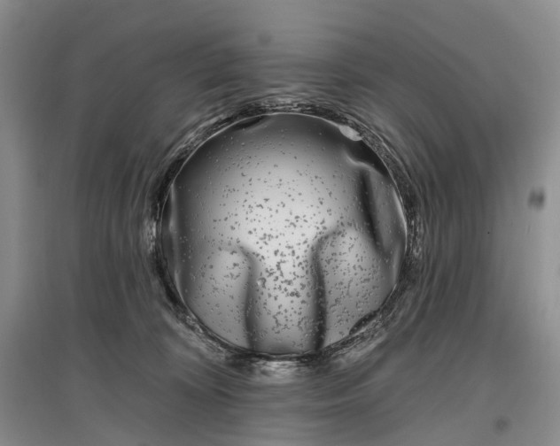 X0000097290324200802291757