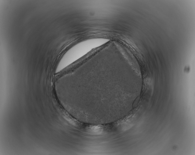X0000097290325200802291757
