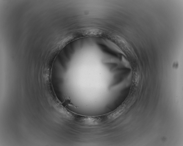 X0000097290326200802291757