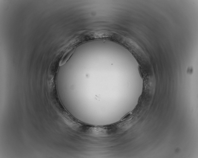 X0000097290327200802291757