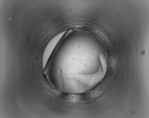 X0000097290328200802291756