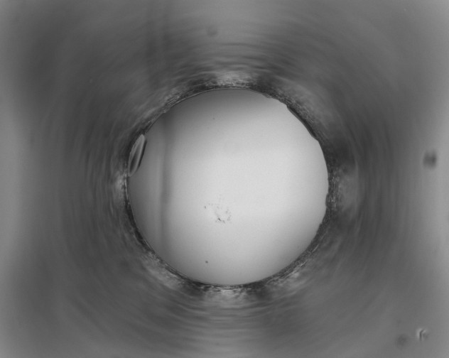 X0000097290329200802291756
