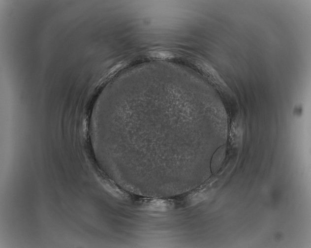 X0000097290330200802291756