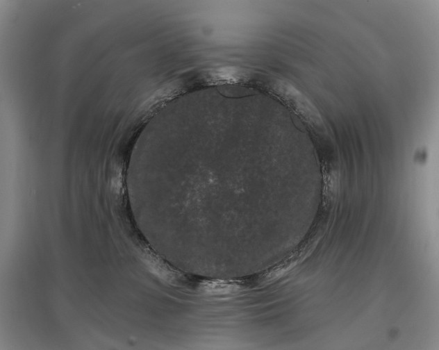 X0000097290331200802291756