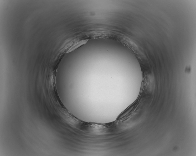 X0000097290333200802291756