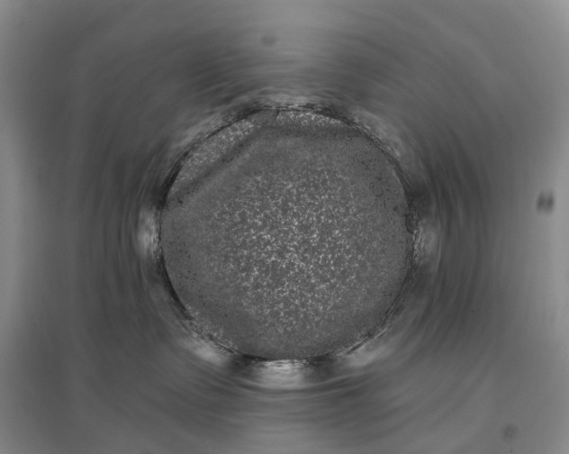 X0000097290335200802291756