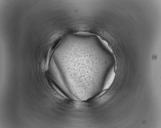 X0000097290336200802291756