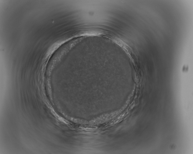X0000097290337200802291756