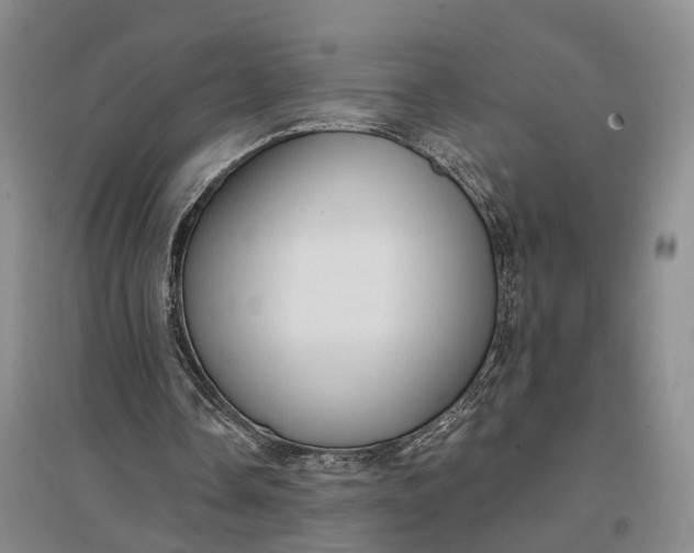 X0000097290338200802291756