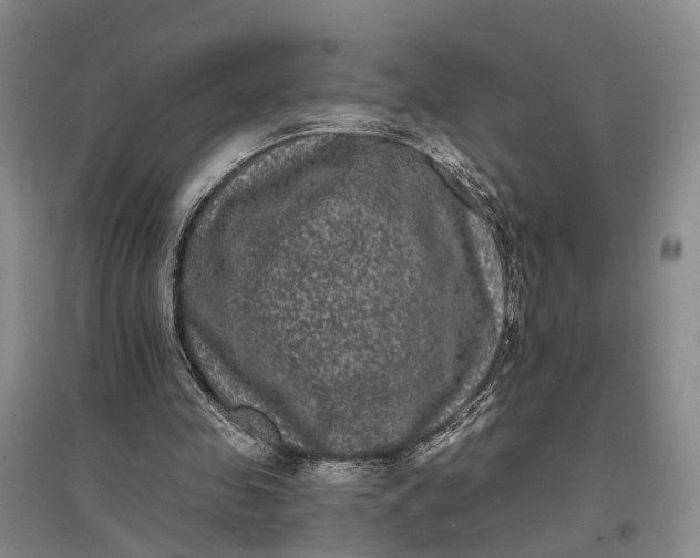 X0000097290341200802291756