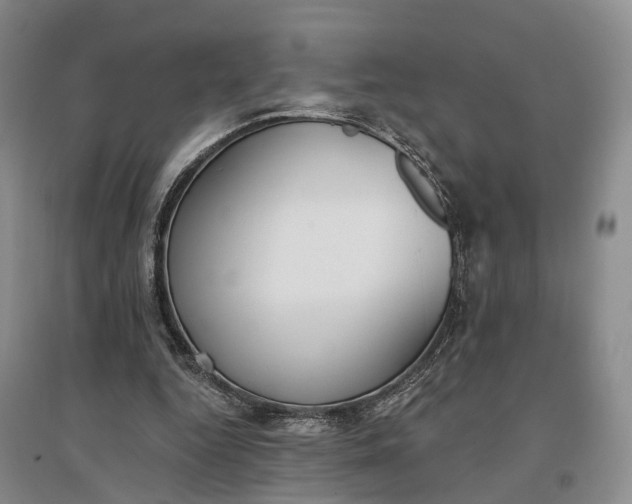 X0000097290344200802291756