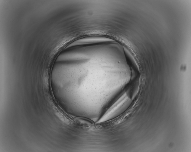 X0000097290345200802291756