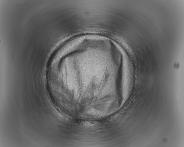 X0000097290346200802291756