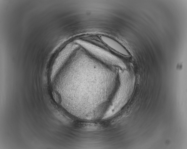 X0000097290347200802291756