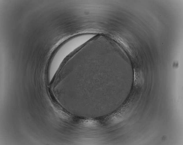 X0000097290348200802291756