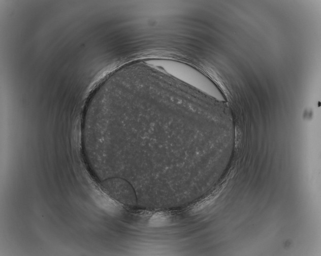 X0000097290349200802291756