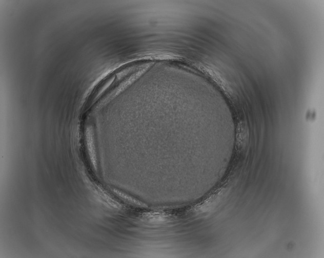 X0000097290351200802291756