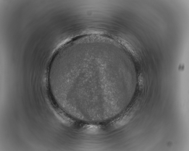 X0000097290352200802291756