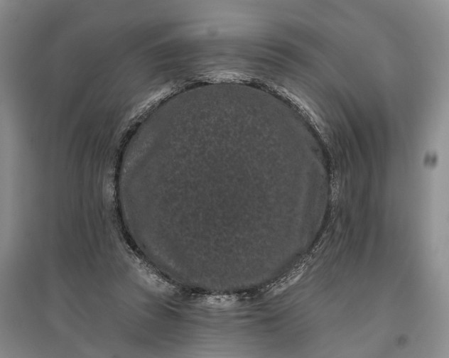 X0000097290353200802291756