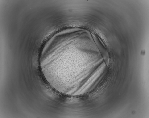 X0000097290354200802291756