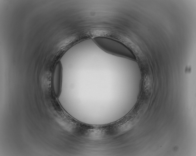 X0000097290356200802291756