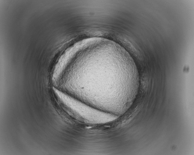X0000097290359200802291756
