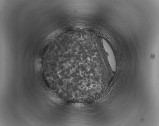 X0000097290361200802291756