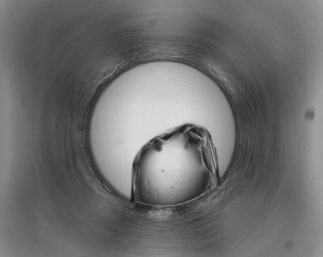X0000097290362200802291756