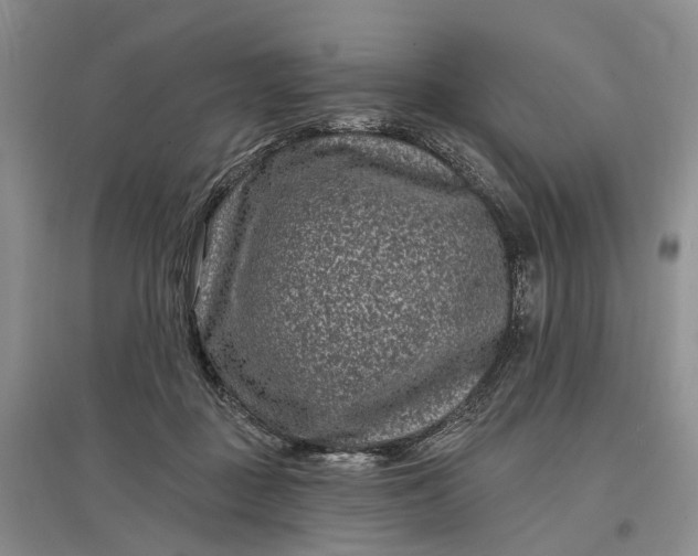 X0000097290363200802291756