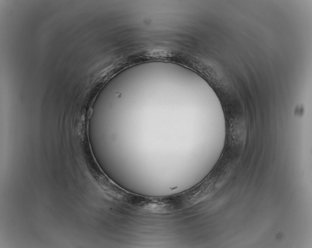 X0000097290364200802291756