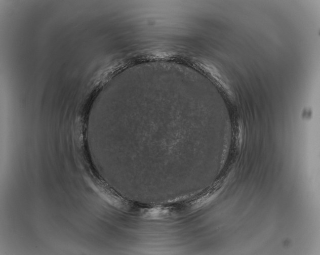 X0000097290366200802291756