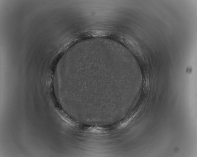X0000097290367200802291756