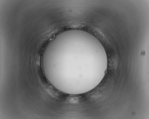 X0000097290368200802291756