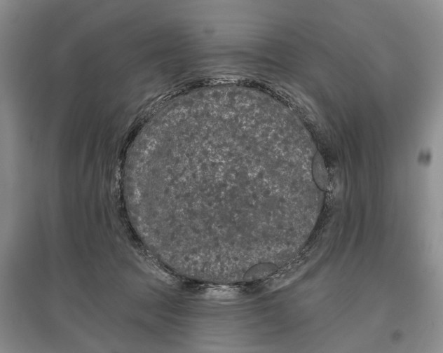 X0000097290369200802291756