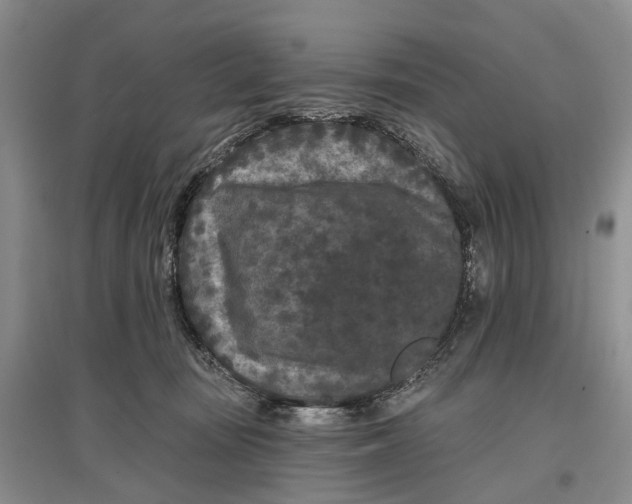 X0000097290371200802291756