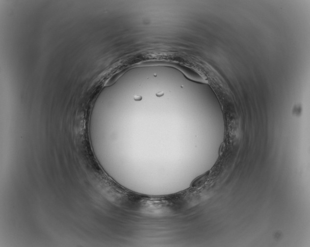 X0000097290372200802291756