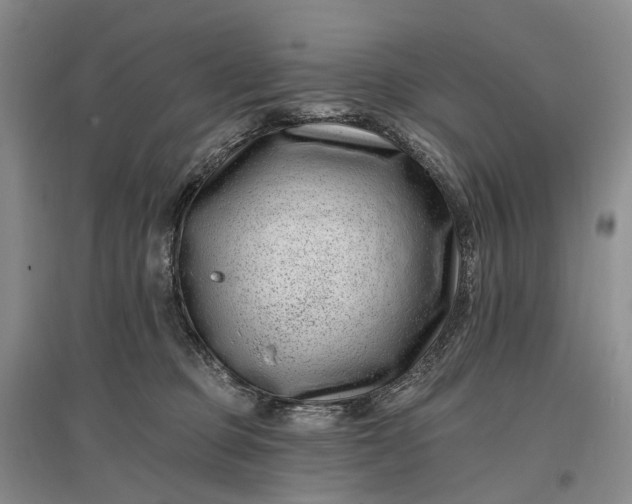 X0000097290373200802291756